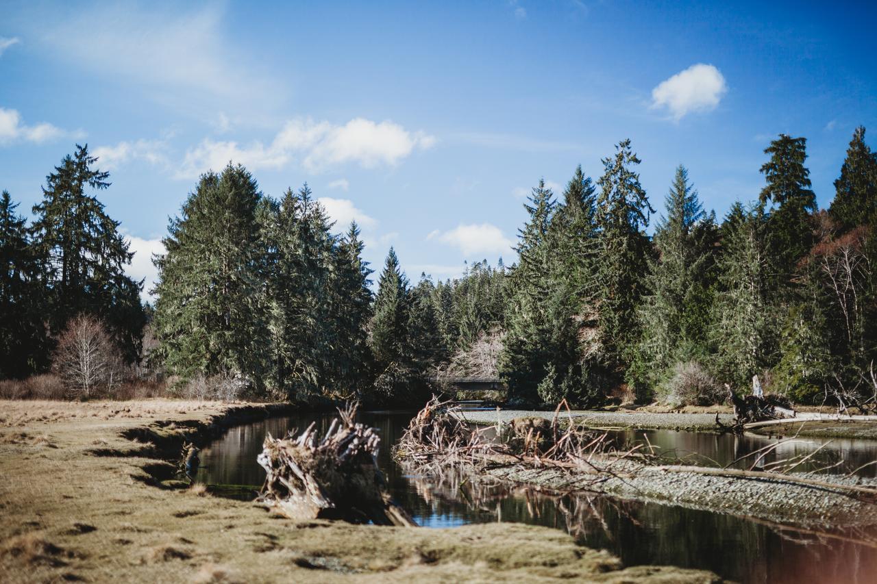 Port Hardy Cabins Buitenkant foto